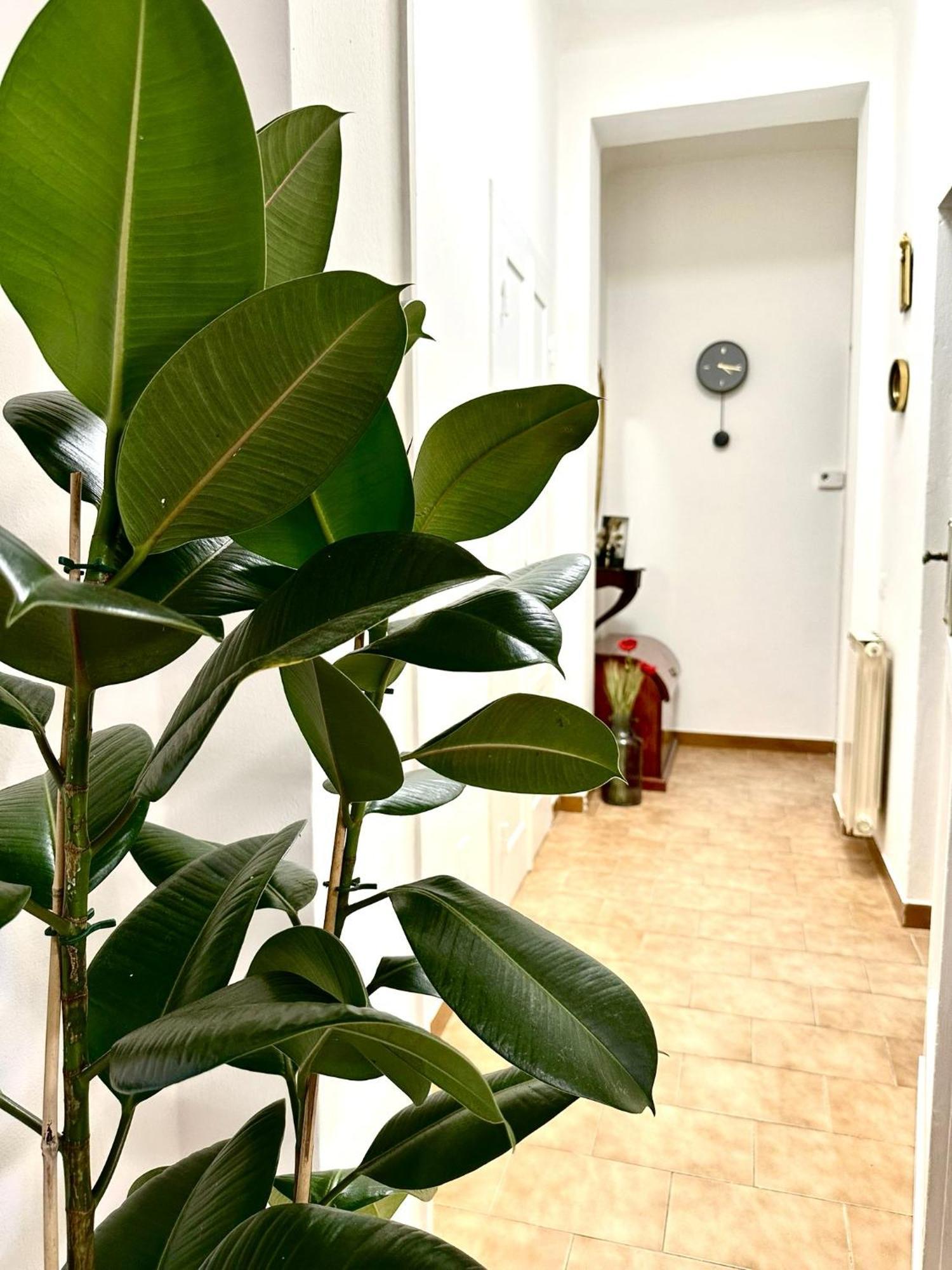 فيلا Casa Ganza بيزا المظهر الخارجي الصورة